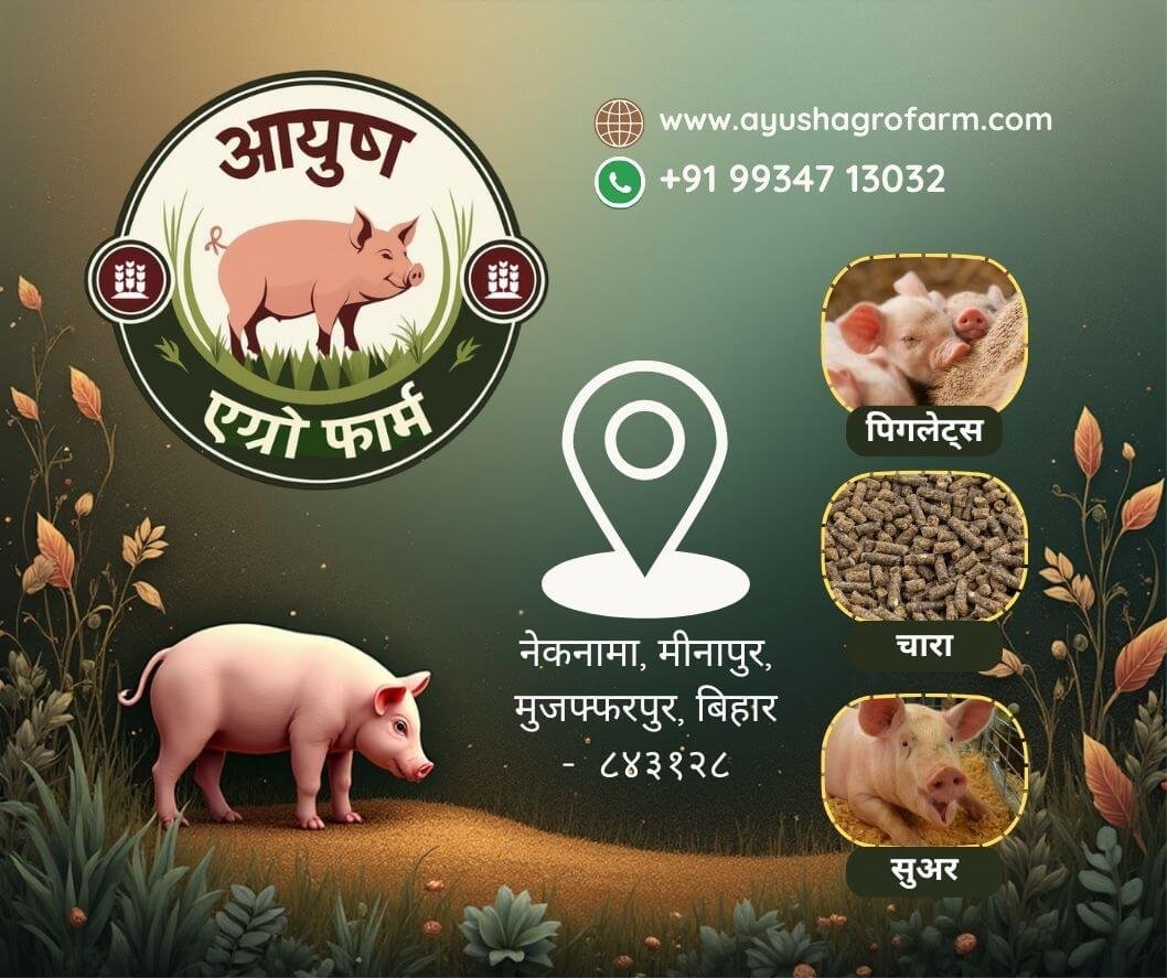 Neknama, Minapur, Muzaffarpur, Bihar (5) (1)
